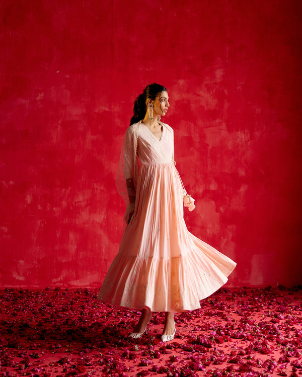 Blush Pink Ambi Angrakha With Embroidered Dupatta