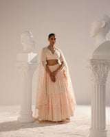 Blush Pink Ambi Lehenga with Embroidered Dupatta