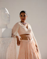 Blush Pink Ambi Lehenga with Embroidered Dupatta