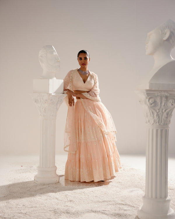 Blush Pink Ambi Lehenga with Embroidered Dupatta