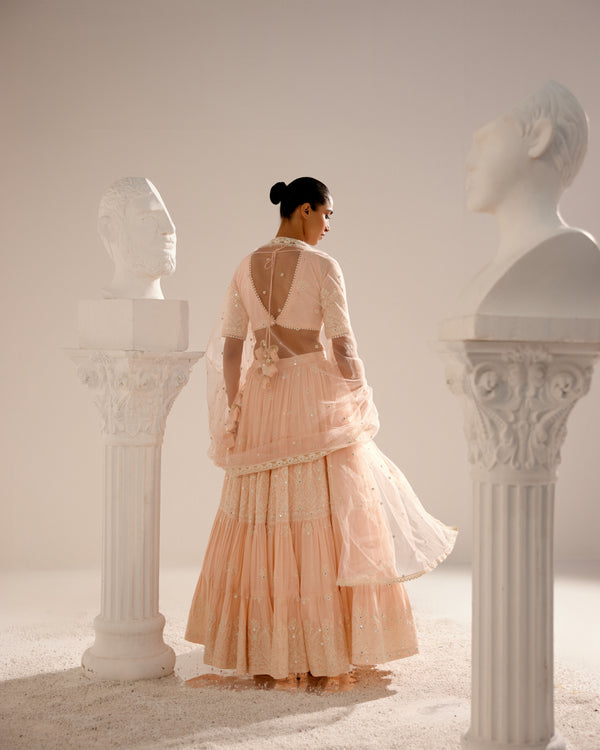 Blush Pink Ambi Lehenga with Embroidered Dupatta