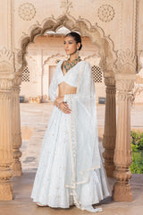 Ice Blue SK-BK Lehenga with Embroidered Dupatta