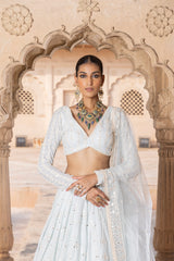 Ice Blue SK-BK Lehenga with Embroidered Dupatta