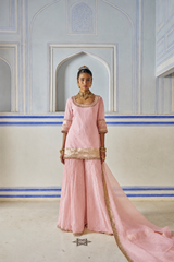 Vintage blush Straight Sharara