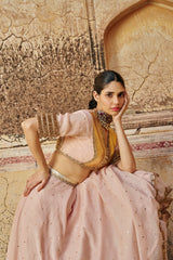 Vintage blush double border Golden Zari Mukesh Lehenga