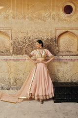 Vintage blush double border Golden Zari Mukesh Lehenga