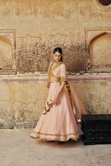 Vintage blush double border Golden Zari Mukesh Lehenga
