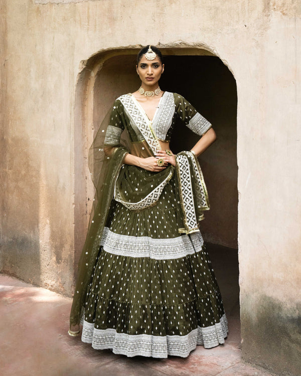 Olive Big boder lehnga with Embroidered dupatta