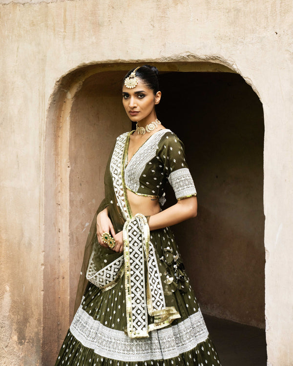 Olive Big boder lehnga with Embroidered dupatta