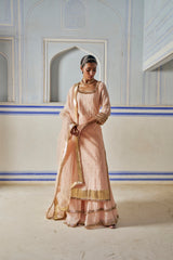 Vintage blush Straight Kurta With Sharara
