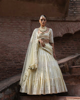Lemon big border Lehenga with Embroidered Dupatta