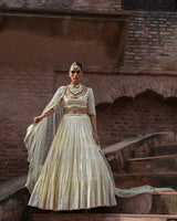 Lemon big border Lehenga with Embroidered Dupatta