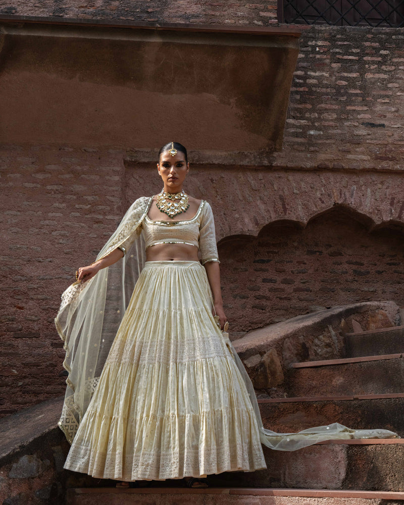 Lemon big border Lehenga with Embroidered Dupatta