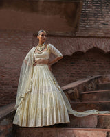 Lemon big border Lehenga with Embroidered Dupatta