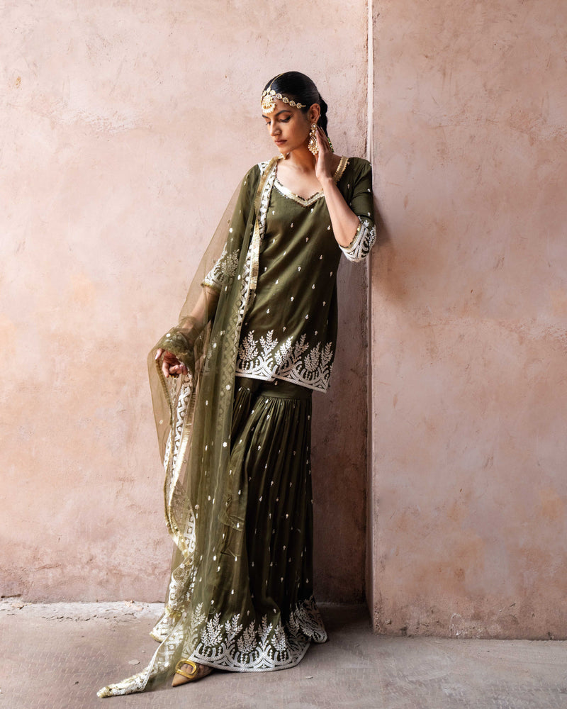 Olive forest straight sharara