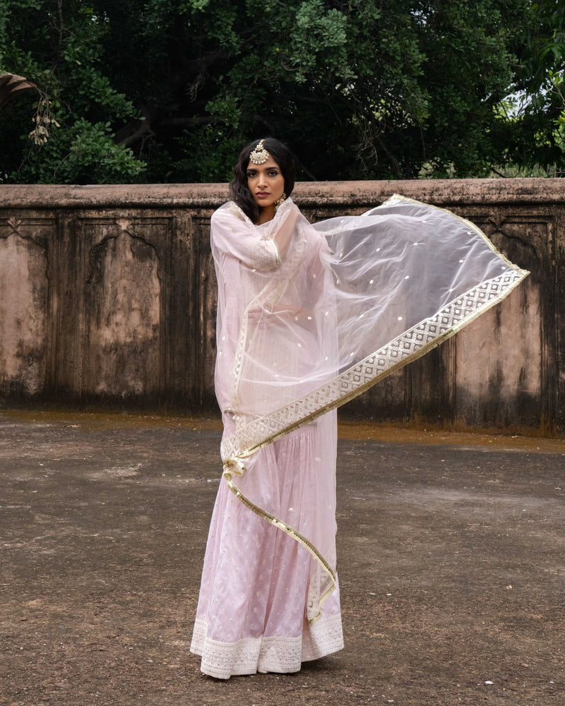Onion Pink big border straight sharara with embroidered dupatta