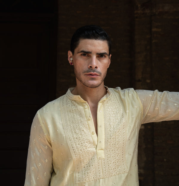 Lemon Big Border Full Embroidered Kurta with Pants