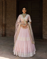 Onion Pink big border Lehenga with Embroidered Dupatta