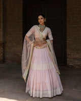 Onion Pink big border Lehenga with Embroidered Dupatta