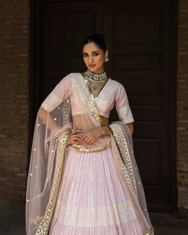 Onion Pink big border Lehenga with Embroidered Dupatta