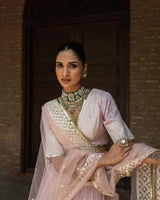 Onion Pink big border Lehenga with Embroidered Dupatta