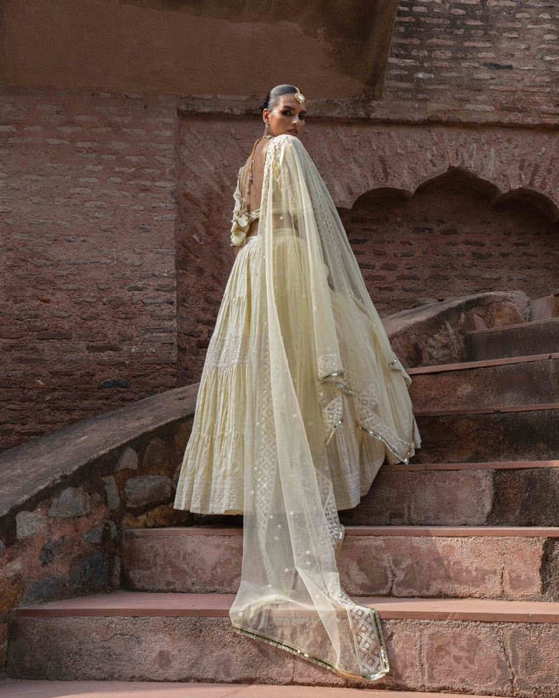 Lemon big border Lehenga with Embroidered Dupatta