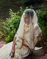 Lemon big border Lehenga with Embroidered Dupatta