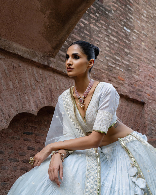 Ice blue big border Lehenga with Embroidered Dupatta