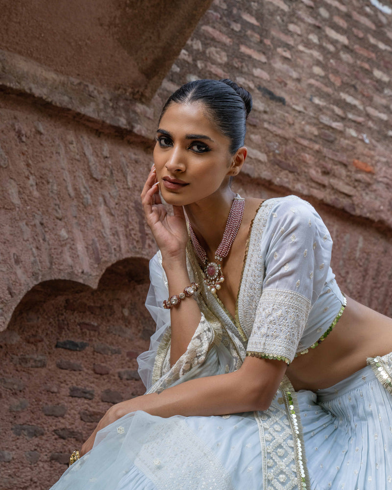 Ice blue big border Lehenga with Embroidered Dupatta