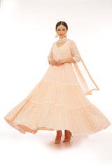 Blush Pink 4 Tier Zig-zag Embroidered Anarkali with Dupatta